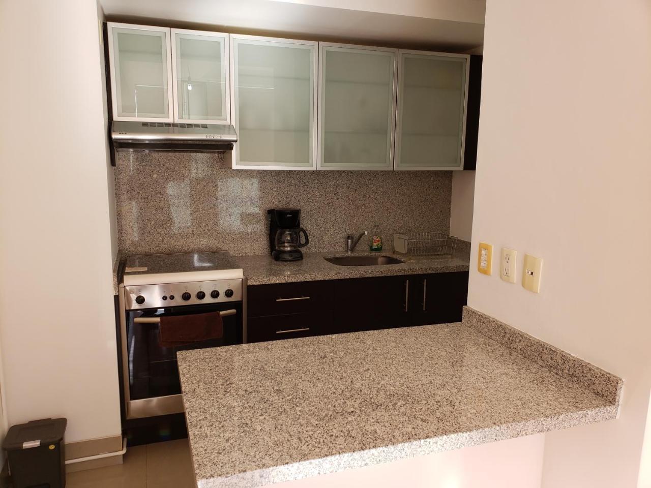 The New Puerta Alameda Luxury Lofts Lejlighed Mexico By Eksteriør billede